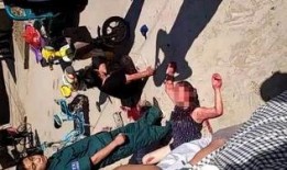 廣宗吃瓜事件始末,一場網絡熱議背后的真相與反思