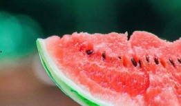 為什么熱鬧吃瓜,探究社會(huì)輿論的狂歡與反思