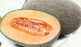 吃哈密瓜不吃切了吃,不切即食，盡享夏日清新