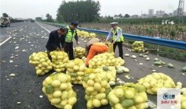 河南閨蜜吃瓜,揭秘娛樂圈背后的那些事兒