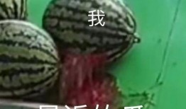 專業吃瓜滿級人類,揭秘娛樂圈幕后真相