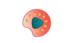 小明日常吃瓜,揭秘娛樂圈那些事兒