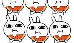 敷衍本衍吃瓜,揭秘娛樂圈幕后真相