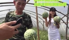 群眾看戲吃瓜直播,群眾看戲吃瓜，娛樂狂歡背后的社會(huì)現(xiàn)象