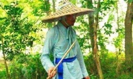 項羽吃瓜,揭秘古代戰場上的閑情逸致