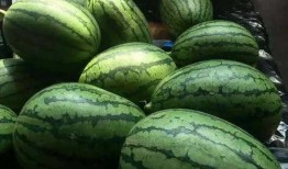 az吃瓜傲光,揭秘娛樂圈背后的真實故事