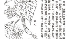 假如古人也吃瓜