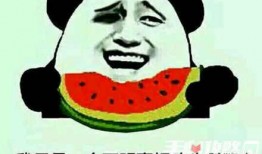 吃麒麟瓜是什么梗,網絡熱梗背后的美食傳奇