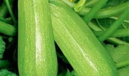 小依吃瓜,揭秘娛樂圈那些不為人知的幕后故事