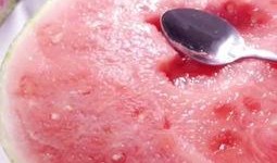 小黑在線吃瓜頭像