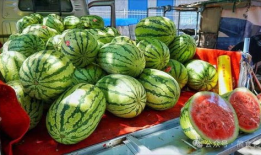 瓜販子可以吃嗎,揭秘街頭美食的誘惑與安全