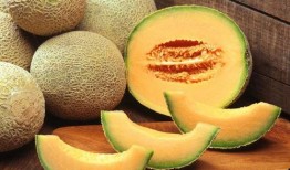 有人吃哈密瓜,探尋瓜中佳肴的獨特魅力