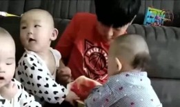 吃瓜三胞胎,揭秘娛樂圈的甜蜜“瓜田”生活