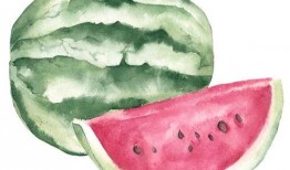 何秋事吃瓜解析,揭秘娛樂圈背后的真相與爭議