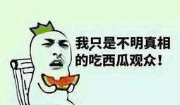 只做吃瓜群眾,吃瓜群眾視角下的娛樂圈風云錄