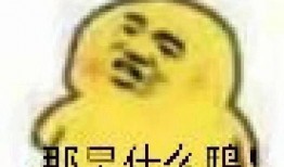 表情吃瓜的意思,揭秘網絡熱詞背后的趣味與內涵