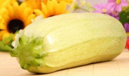 葫瓜可以吃嗎,美味與營養的雙重享受