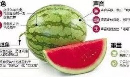 微信區(qū)吃瓜,揭秘網(wǎng)絡(luò)社交背后的八卦風(fēng)云