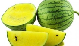 溪邊吃瓜拍照圖片,定格夏日美好時光