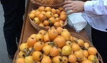 帶你吃瓜枇杷飲料