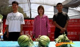 杭州吃瓜比賽,吃瓜比賽狂歡，瓜王爭霸一觸即發(fā)