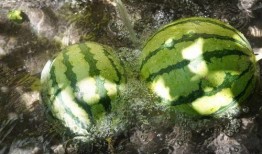 吃瓜地形碼,揭秘瓜鄉(xiāng)風(fēng)情與自然奇觀