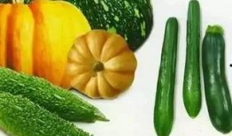 吃瓜關山,揭秘娛樂圈背后的故事