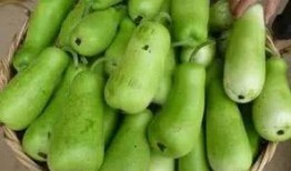 吃的葫蘆瓜幾種,多樣烹飪，盡享田園風味