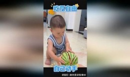 埋頭吃瓜萌娃,萌態十足引網友熱議