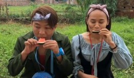 吃瓜比賽目的,吃瓜大賽，誰是瓜界王者？