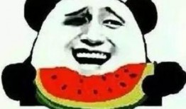 吃瓜群眾改名了,揭秘網絡昵稱的演變之路