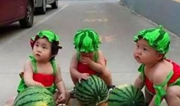 吃瓜三胞胎,揭秘娛樂圈的甜蜜“瓜田”生活