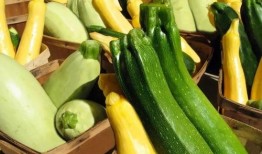 夏天吃瓜的歌,跟隨歌曲感受清涼一夏