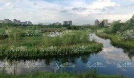 眉山濕地公園吃瓜,夏日消暑吃瓜好去處