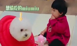 吃瓜妞媽,揭秘育兒路上的酸甜苦辣