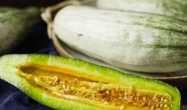 吃濕瓜好嗎,吃濕瓜的好處與注意事項