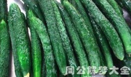 在夢里摘瓜吃瓜好不好,摘瓜吃瓜的奇妙體驗解析