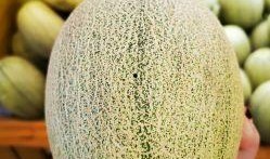 吃蜜瓜的照片,夏日甜蜜時(shí)光的定格