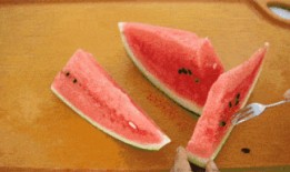 認真吃瓜不吐籽,認真吃瓜，不吐籽的智慧