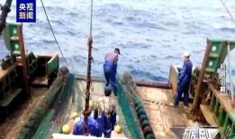 演習漁民吃瓜,吃瓜成為調節氣氛的秘密武器