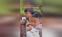 旁觀吃瓜者,吃瓜群眾的趣味解讀