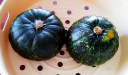 貝貝瓜的瓜囊可以吃嗎,美味可口的天然美食探索