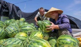 山西介休吃瓜事件視頻,一場網(wǎng)絡(luò)熱議的真相追蹤