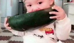 小朋友吃瓜視頻