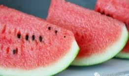 風兒吃瓜,夏日里的悠閑時光