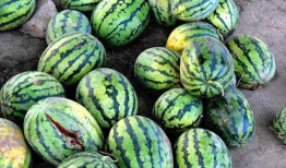 沒吃懂的瓜,揭秘那些讓人一頭霧水的八卦傳聞