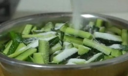 百吃不厭的葫蘆瓜怎么吃,解鎖百吃不厭的美食新境界