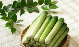 各種瓜吃瓜私,揭秘吃瓜私成的秘密世界