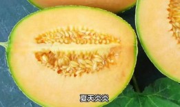 凍哈密瓜吃,凍哈密瓜的清涼誘惑