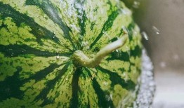 吃瓜散了,揭秘娛樂圈幕后真相